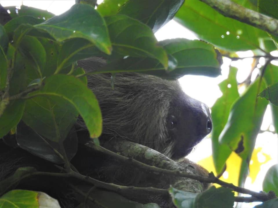 Colinas Del Miravalles Hotel & Hot Springs Guayabo  Zewnętrze zdjęcie